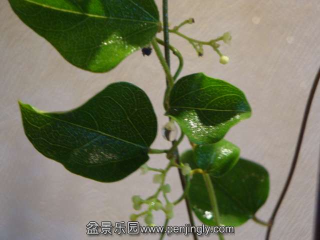 DSC01252.JPG