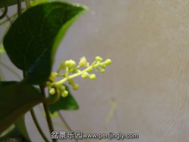 DSC01255.JPG