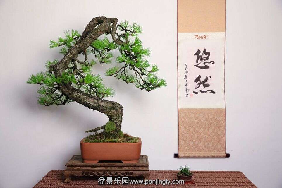 QQͼƬ20150704201851.jpg