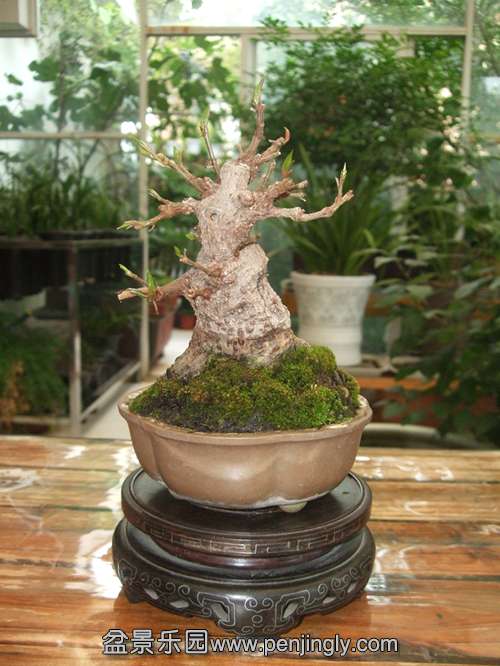 DSCF5457__.jpg