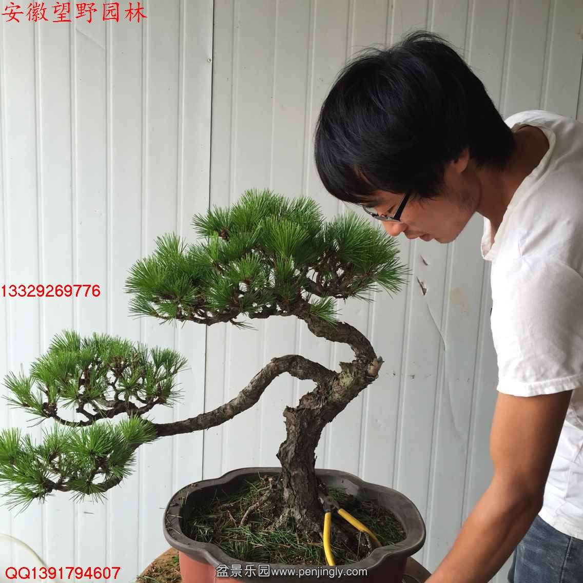 21923AC2C77F29038FBDD1641B0267AD.jpg