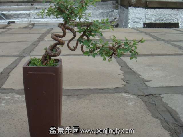 DSC06102.JPG