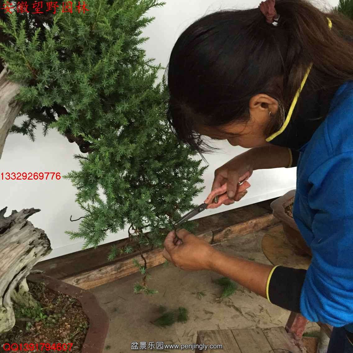 FDDE160A3DEC2DEEDDBC58E5DD12CEB3.jpg