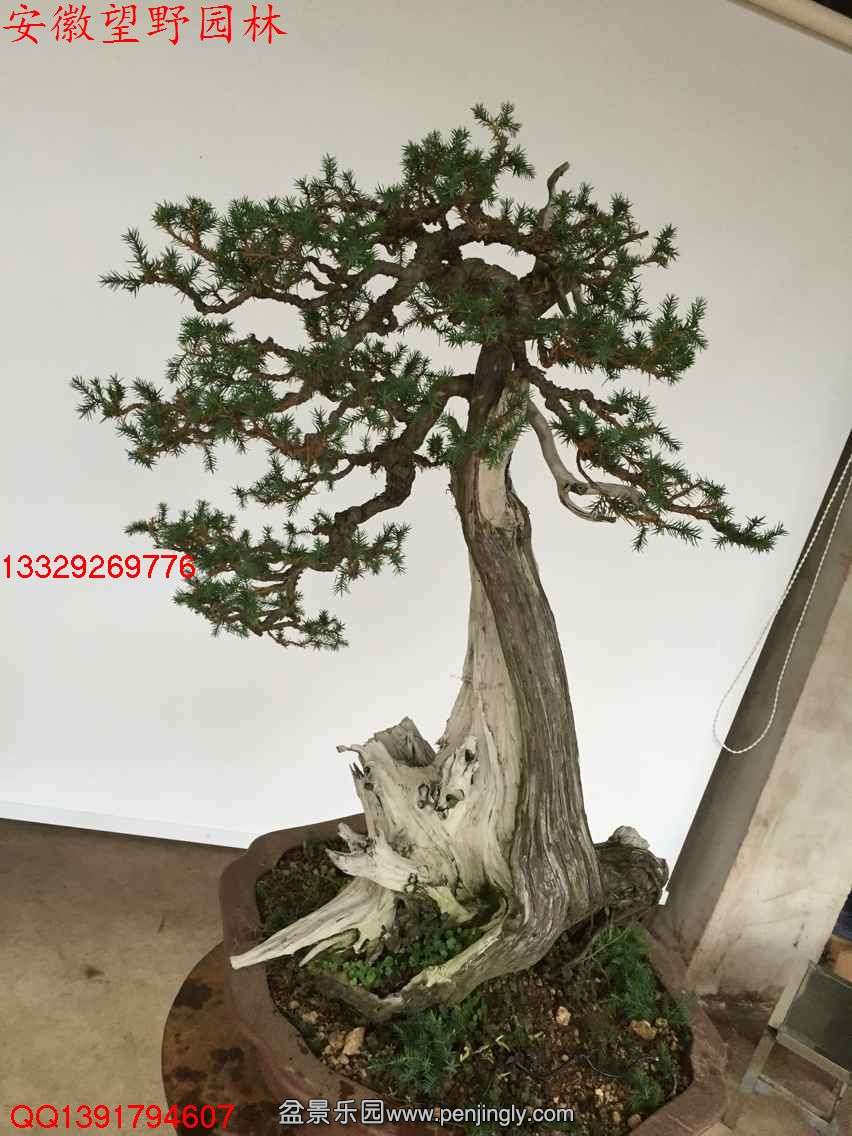 257EAB7C07DE03057EDD34054DADA606.jpg