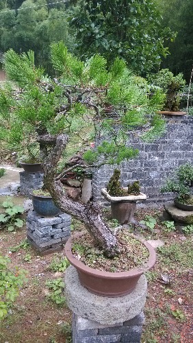 IMG_20130614_094135.jpg