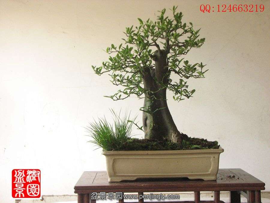 IMG_0887__.jpg