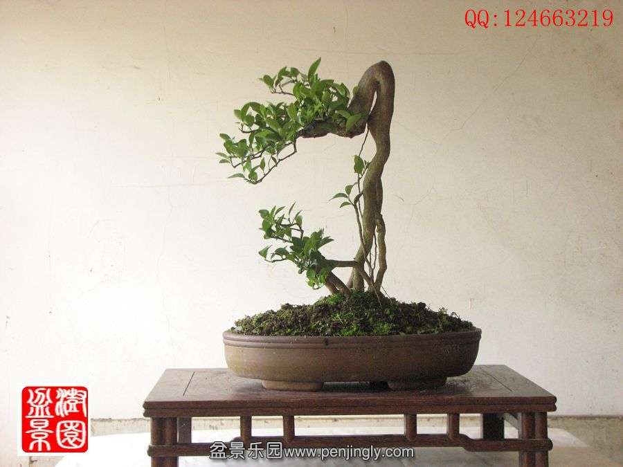 IMG_0891__.jpg
