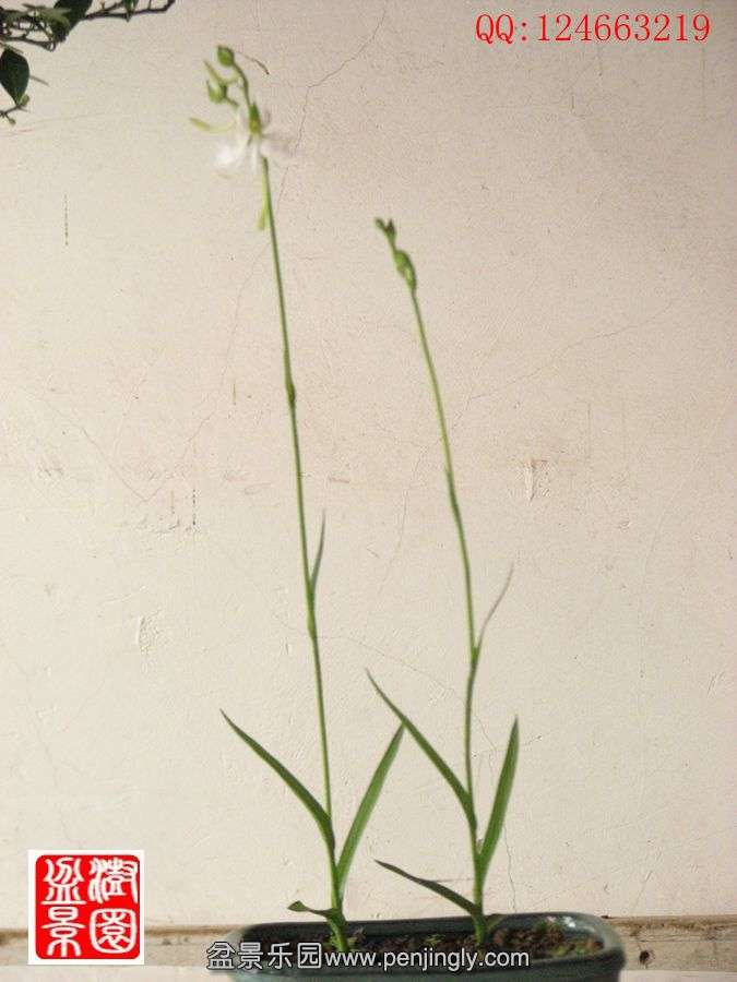 IMG_0903__.jpg