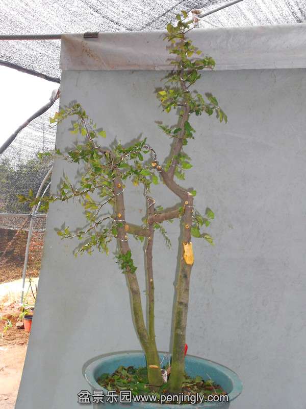 DSCN2149_.jpg