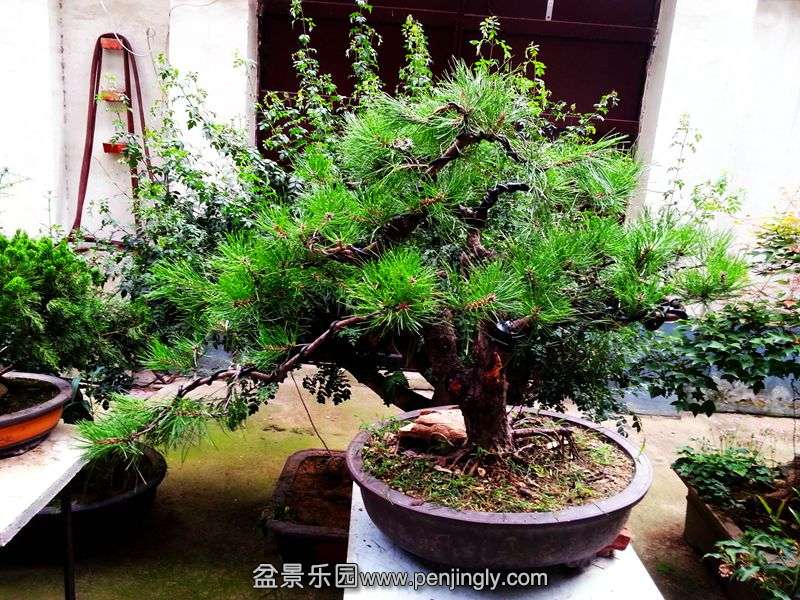 20150711_174240.jpg