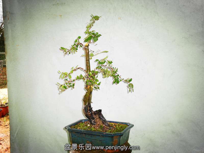 DSCN2165_.jpg