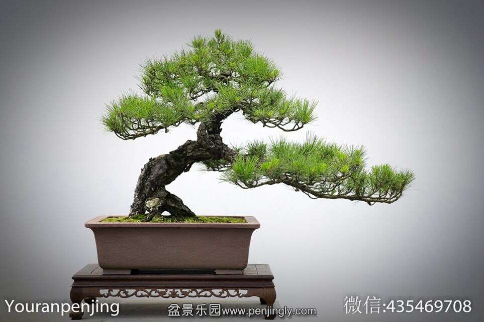 QQͼƬ20150714213646.jpg