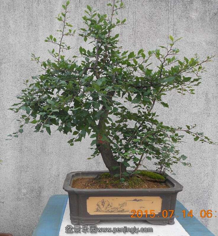 37÷ѻ2.jpg