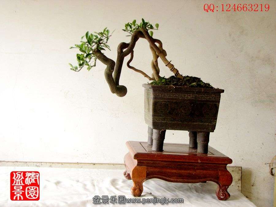 IMG_0988__.jpg