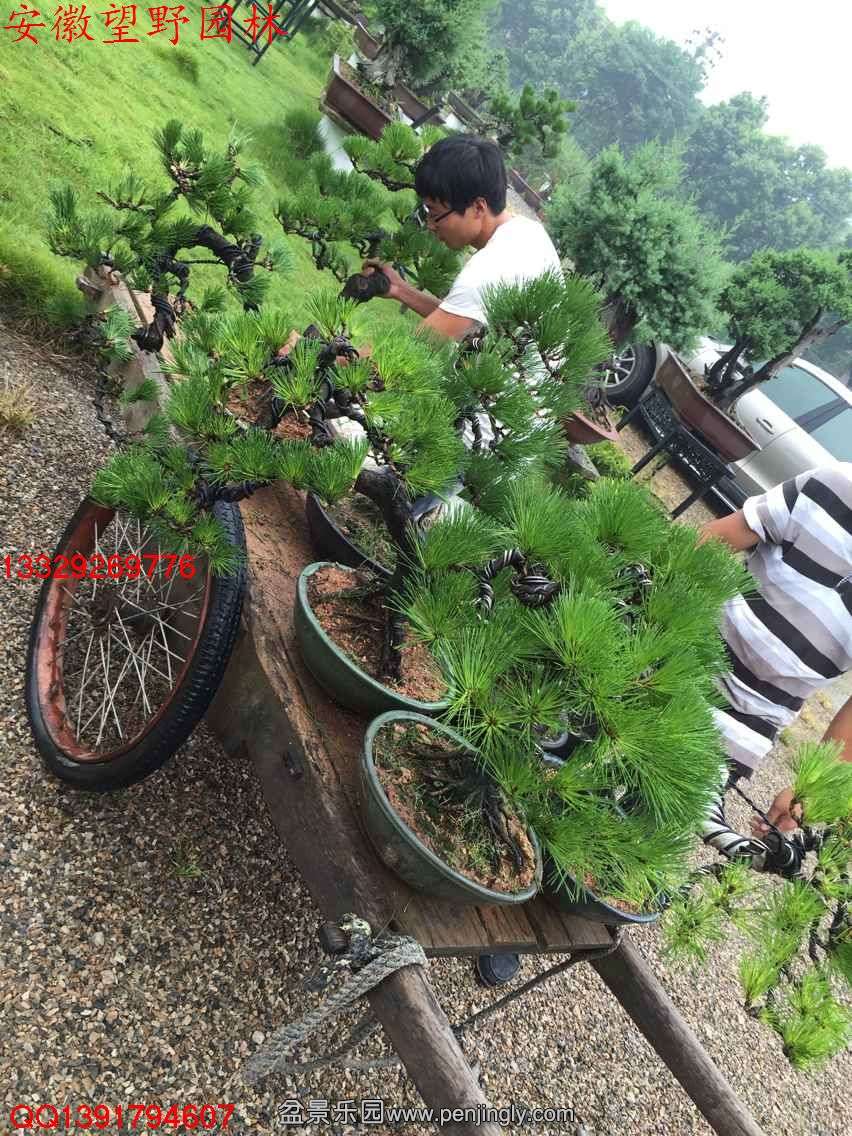 B7AE71D34DB7A7CC96CDEC15C7A89E49.jpg