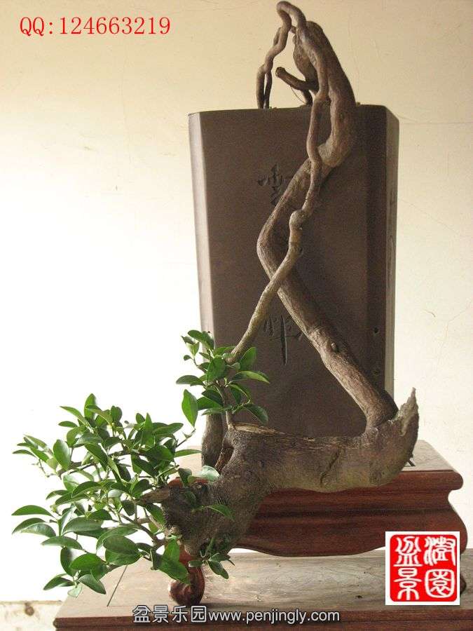 IMG_1057__.jpg