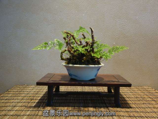 DSC01344.JPG