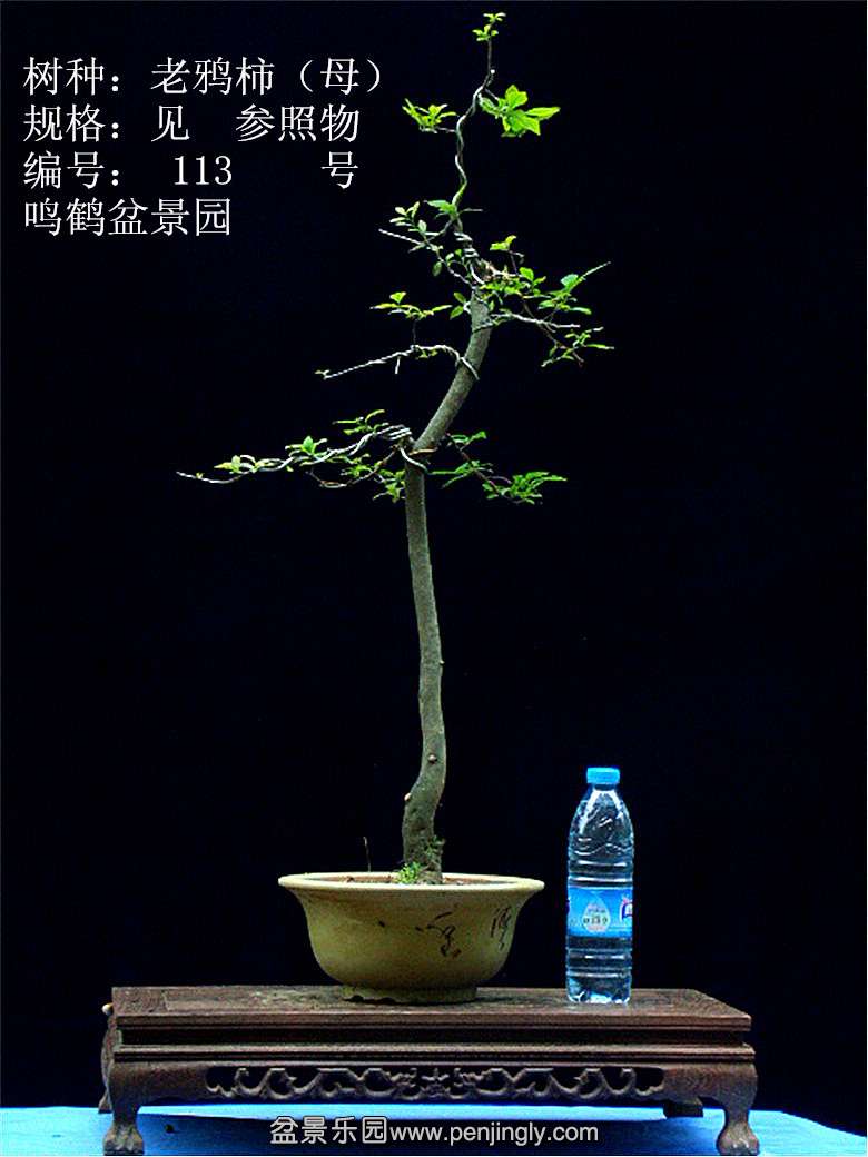 GEDC1215.JPG