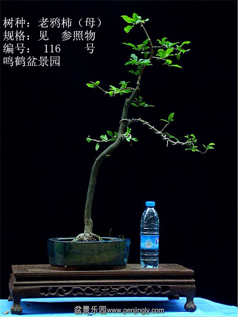 GEDC1224.JPG