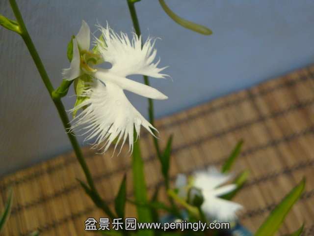 DSC01377.JPG