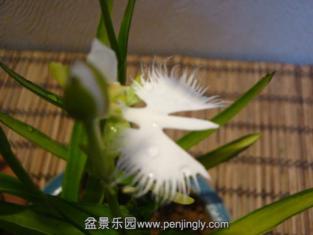 DSC01378.JPG