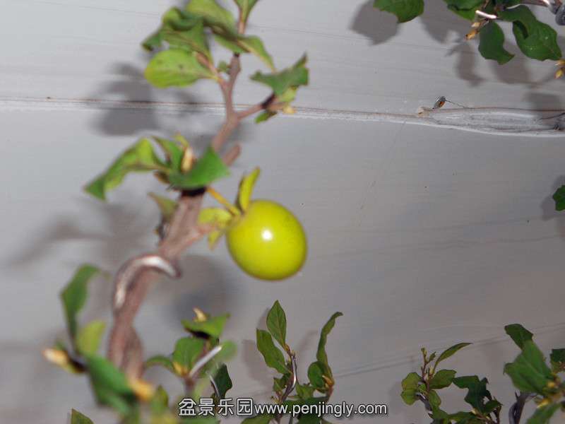 DSCN2292_.jpg