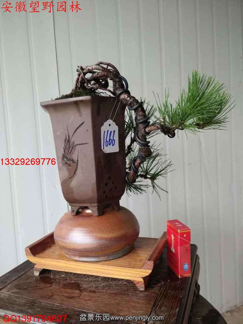 4EF962C817F238F40259E02DAF143BCA.jpg