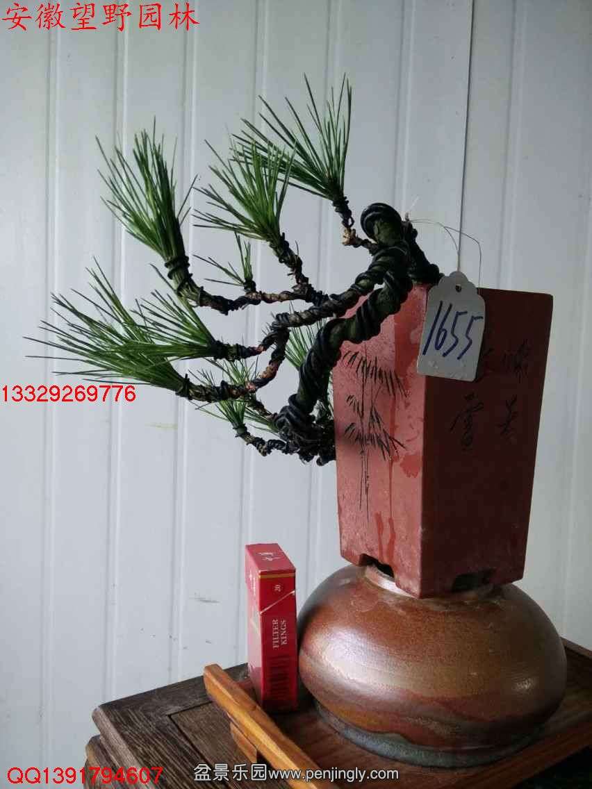 7F772D6822EA43FB204C56B90EBEB037.jpg