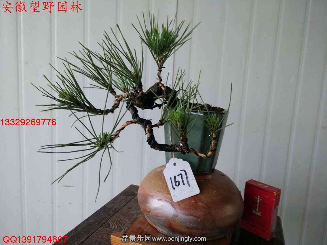 11B5D4DDC443AAEE7CEE0E3689BB4FAE.jpg