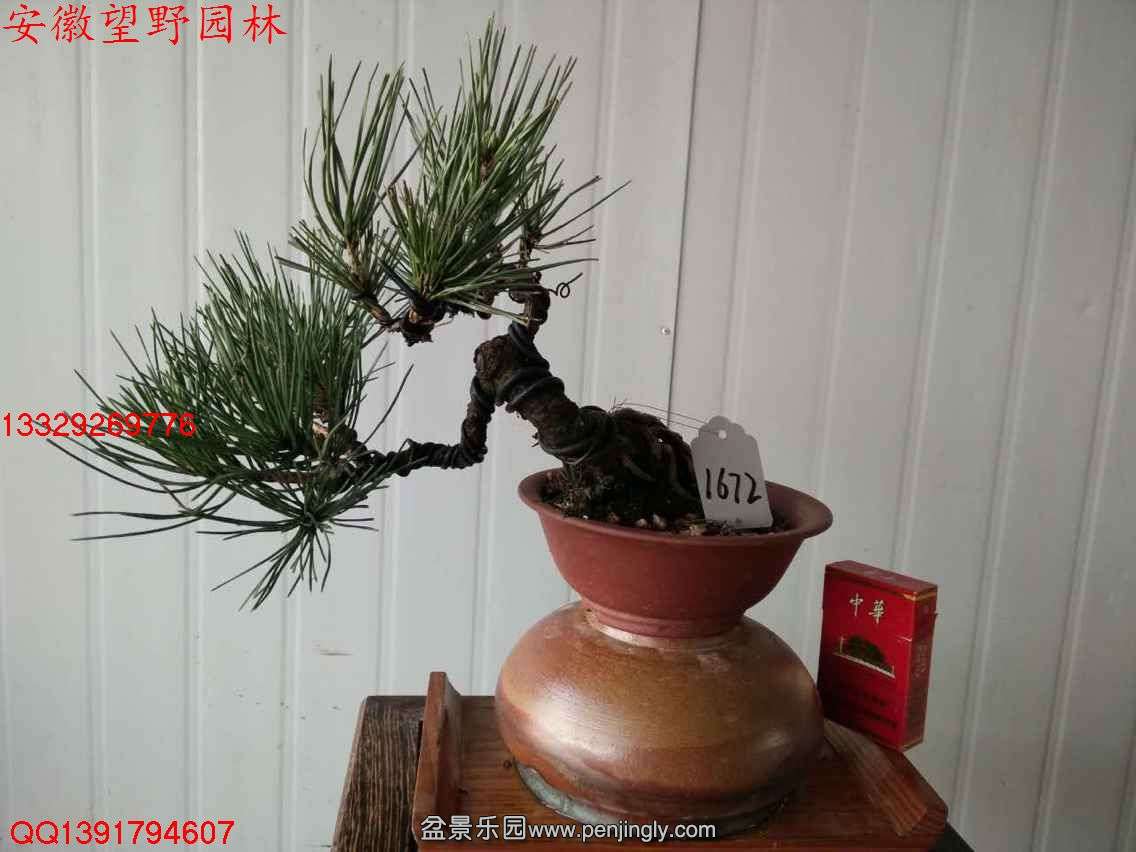 052B626CB3CD3AA3D7CC0858F9EEB201.jpg