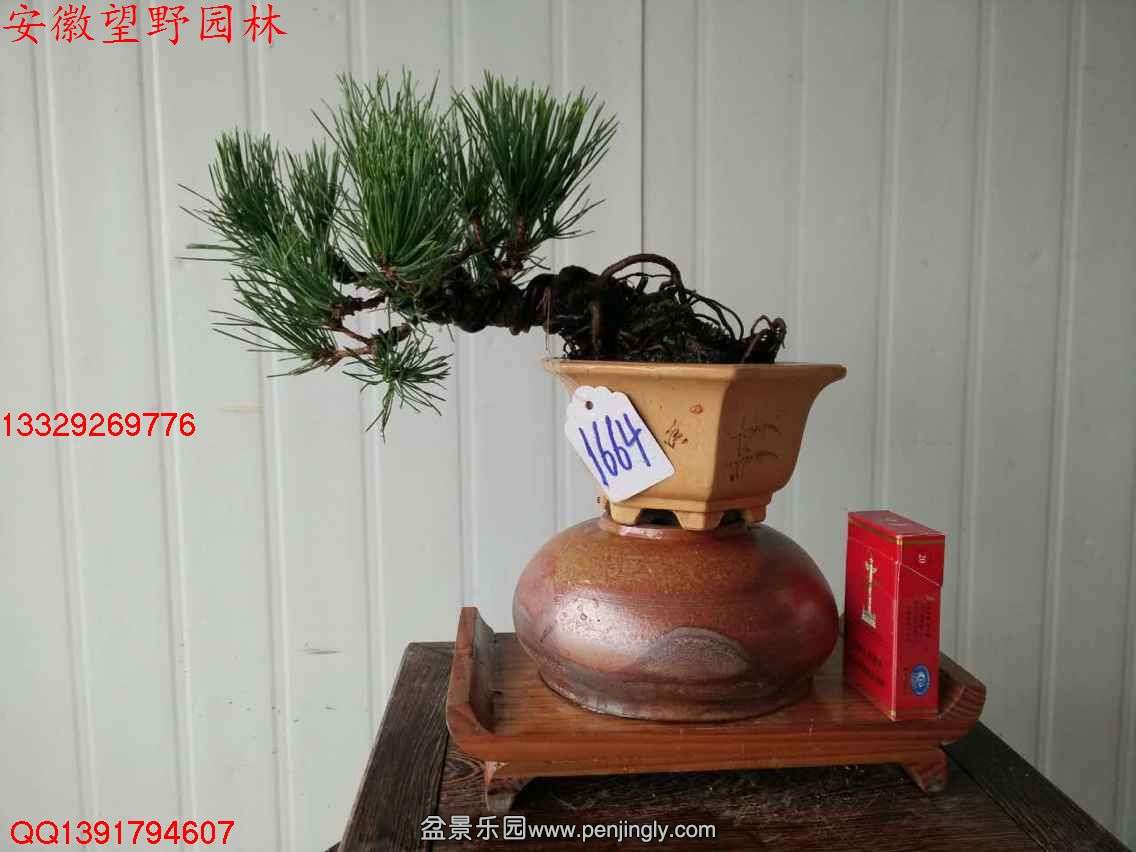 93C1432620BCDE7CA77A59B586ACF065.jpg