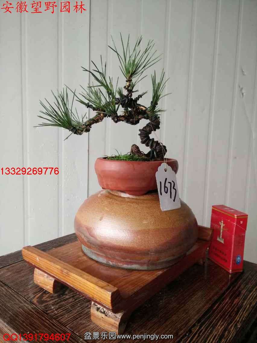 B94586ACC998FCA3544074FA13BAB94B.jpg