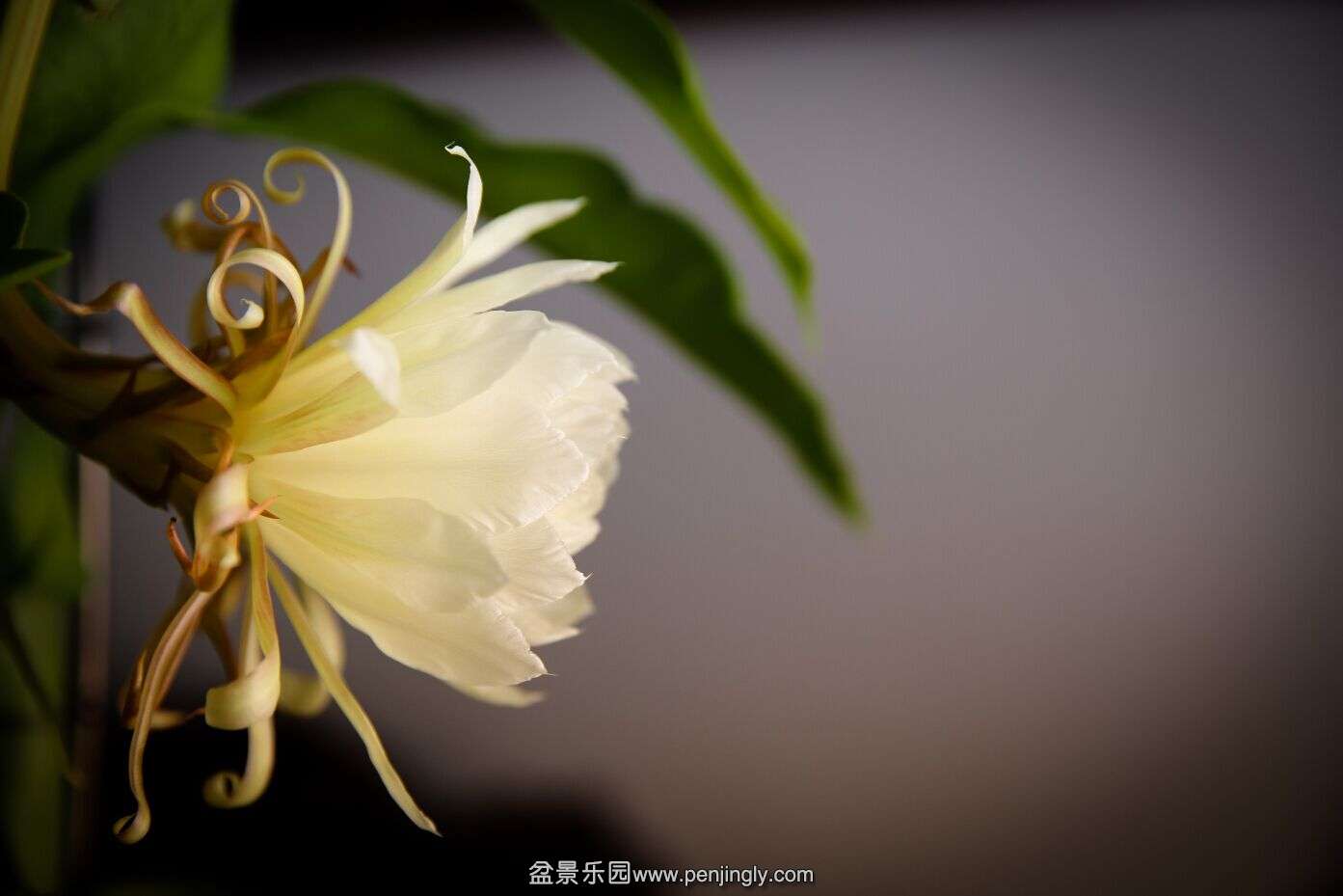 QQͼƬ20150801092626.jpg