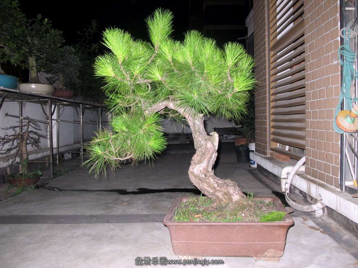 β1.jpg