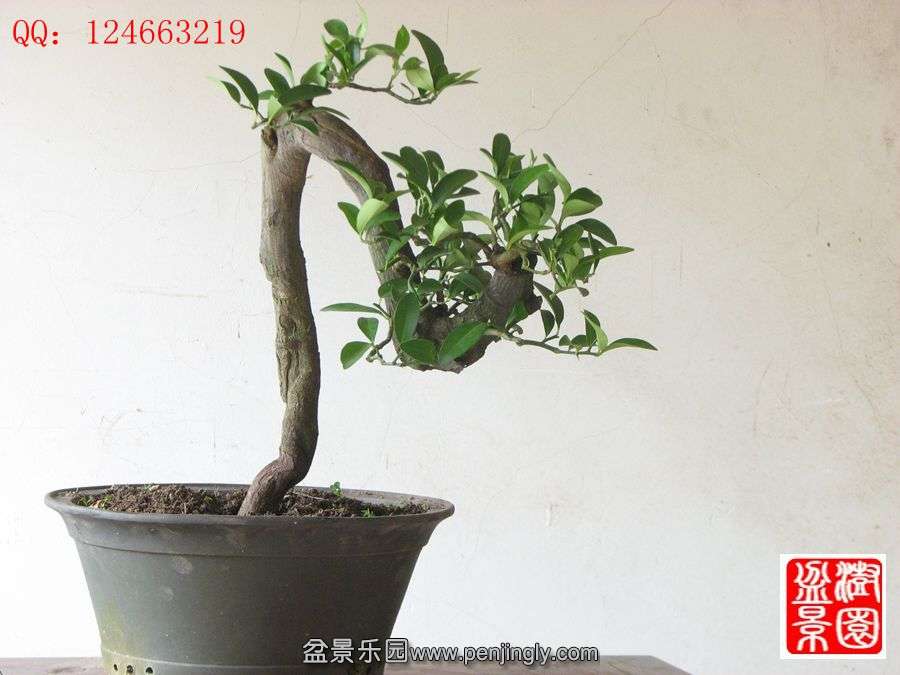 IMG_1526_副本.jpg