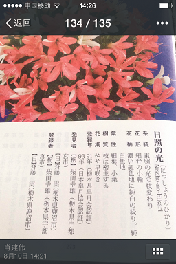 IMG_3918.PNG