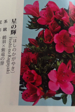IMG_3920.PNG