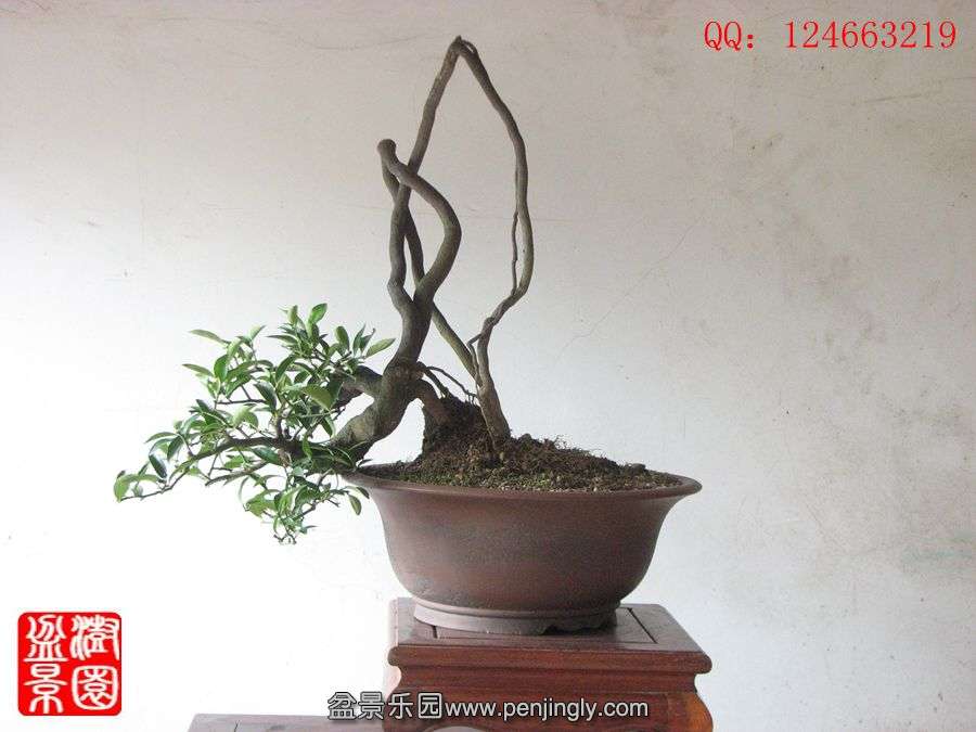 IMG_1592_副本.jpg