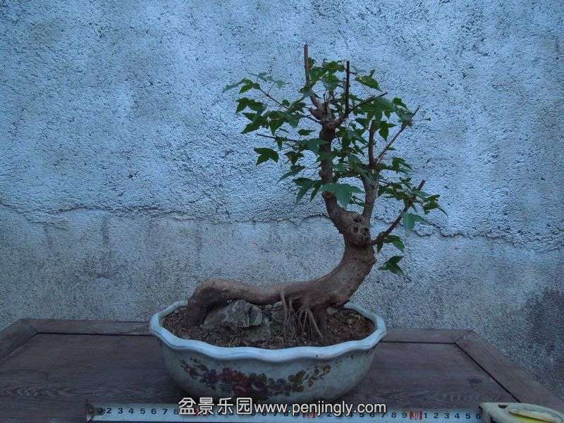 Ƭ 058.jpg