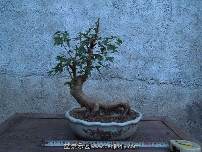 Ƭ 059.jpg