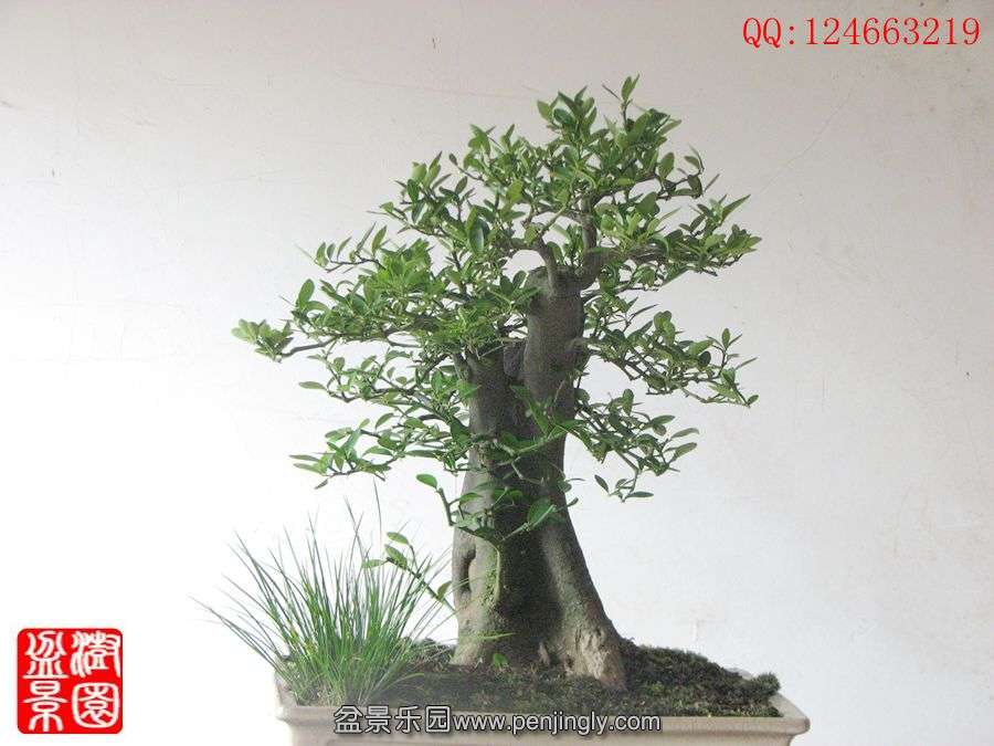 IMG_1637_副本.jpg