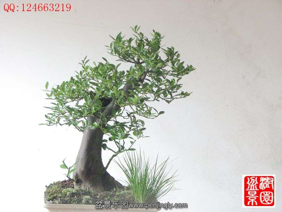 IMG_1638_副本_副本.jpg