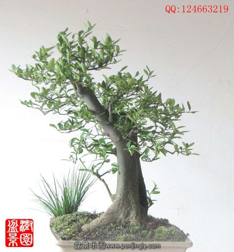 IMG_1640_副本_副本.jpg