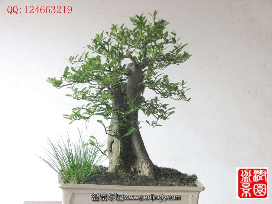IMG_1641_副本.jpg