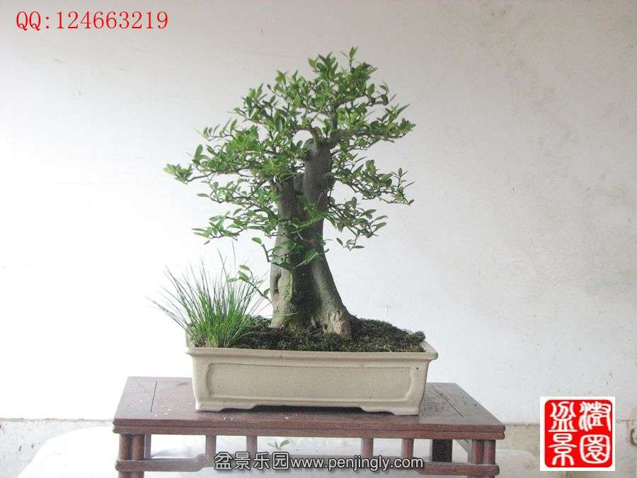 IMG_1642_副本_副本.jpg