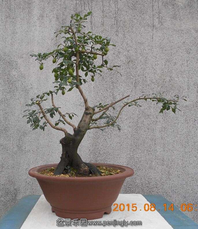 55޼衾2.jpg