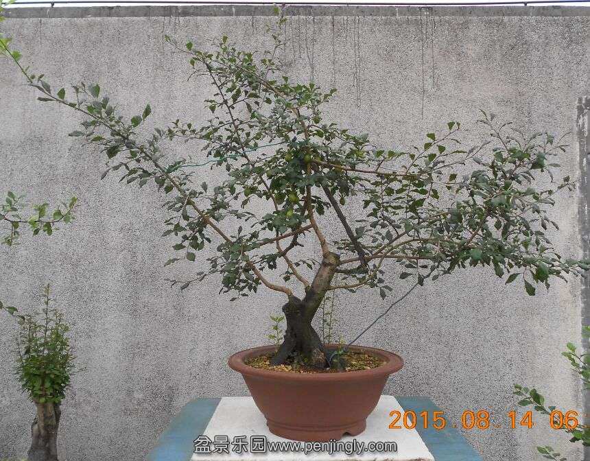 55޼衾3.jpg