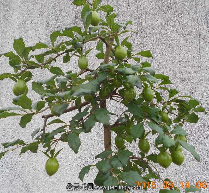 55޼衾4.jpg