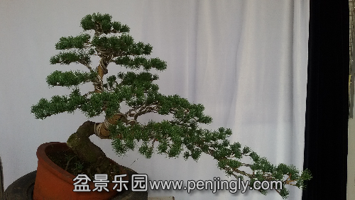 20150813_175615.jpg