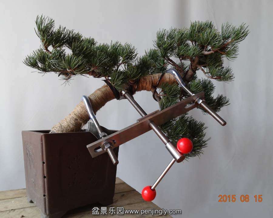 05.jpg